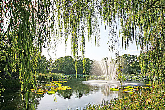 噴泉,湖,北京,圓明園