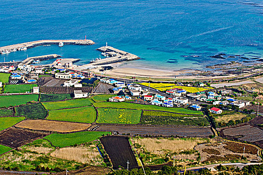 乡村,农田,济州岛,韩国