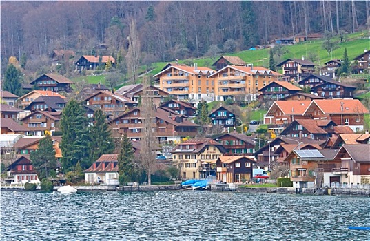 乡村,湖,瑞士