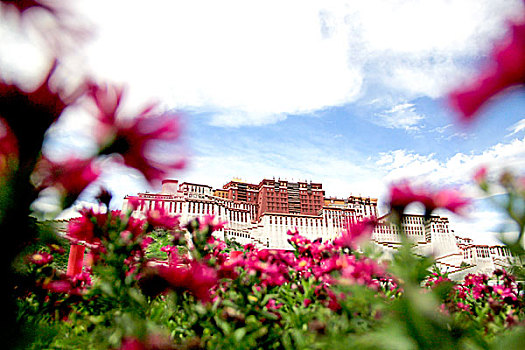 花团锦簇中的布达拉宫,拉萨,西藏,jpg