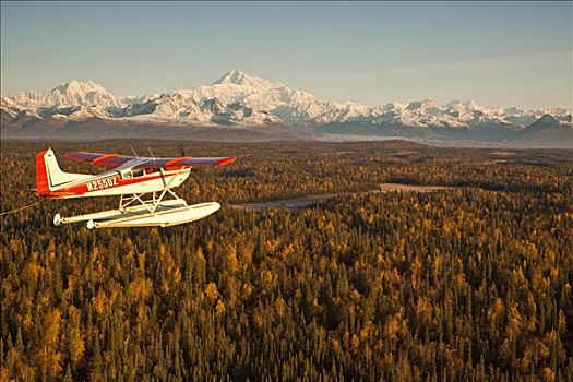 水上飞机,飞行,山,麦金利山,背景,阿拉斯加,秋天