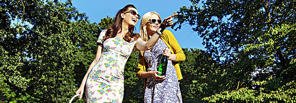 两个,笑,女性,观光,绿色公园