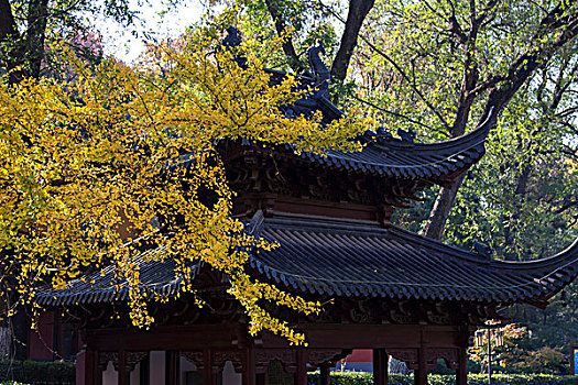 南京栖霞寺