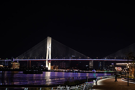 南浦大桥夜景