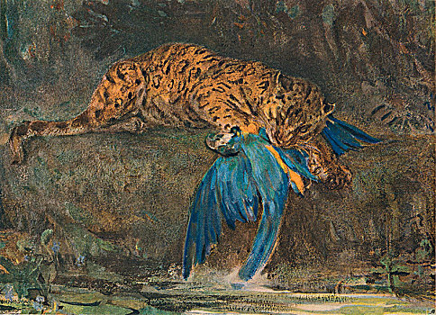 美洲虎,金刚鹦鹉,迟,19世纪,艺术家,天鹅