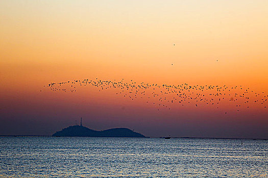 黄海日出盛景