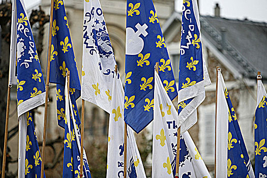 法国,凡尔赛宫,旗帜