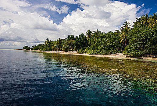 清水,小岛,蚂蚁,环礁,密克罗尼西亚
