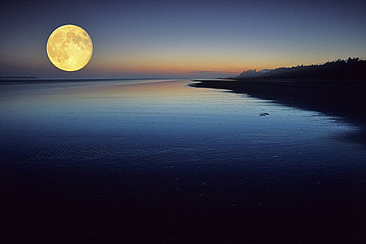 满月,发光,上方,海洋,长滩,环太平洋国家公园,自然保护区,温哥华岛,不列颠哥伦比亚省,加拿大
