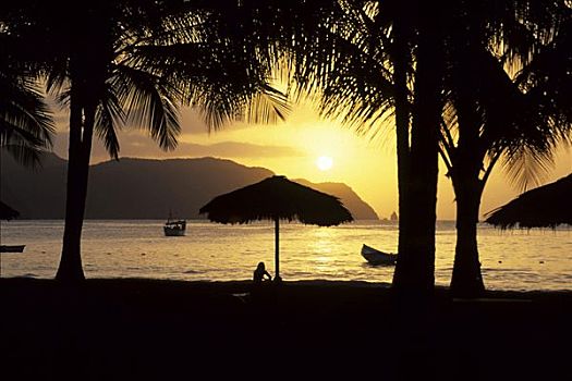 日落,棕榈树,干盐湖,麦地那,海滩,加勒比海,海岸,靠近,苏克雷,委内瑞拉,南美