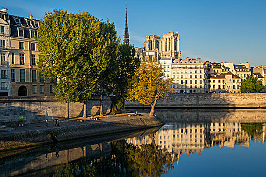 早晨,平静,塞纳河,大教堂,巴黎,法国