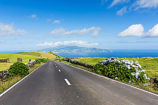 道路,牧场,正面,风景,法亚尔,远景,皮库岛,亚速尔群岛,葡萄牙