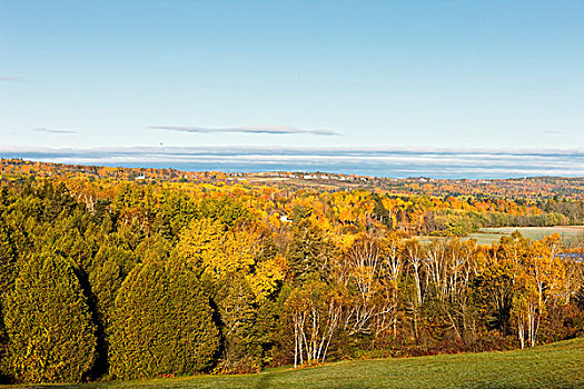 秋色,新布兰斯维克,加拿大