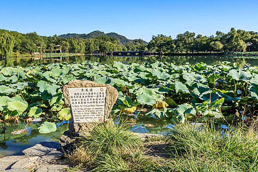 中国河北省承德避暑山庄水景园林