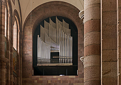 施佩耶尔,大教堂,世界遗产,琴乐器