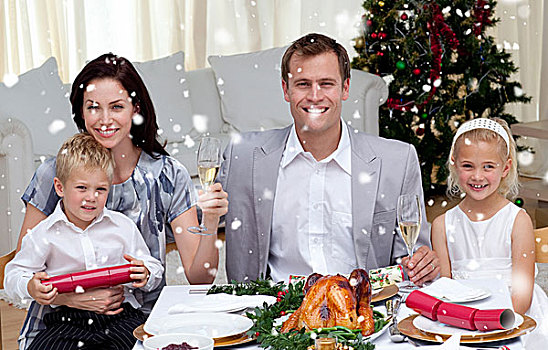 父母,祝酒,香槟,圣诞晚餐