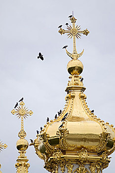 乌鸦,穹顶,教堂