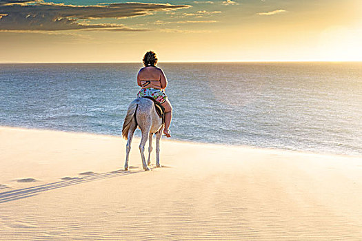 女人,骑,马,海滩,后视图,杰里考考拉,巴西,南美