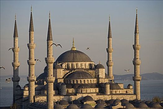 蓝色清真寺,伊斯坦布尔,清真寺,名字,围绕,区域,建造,苏丹艾哈迈德清真寺,设计