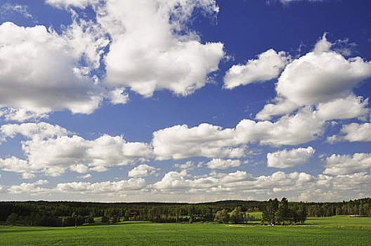地点,农田,北方,瑞典