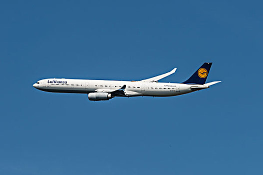 空中客车,汉莎航空公司,起飞,法兰克福,机场,黑森州,德国,欧洲