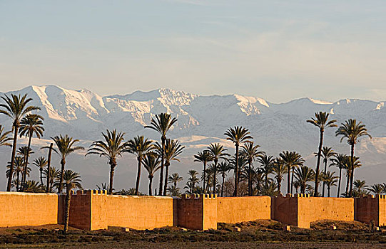 壁,马拉喀什,正面,雪冠,阿特拉斯山区,摩洛哥,非洲