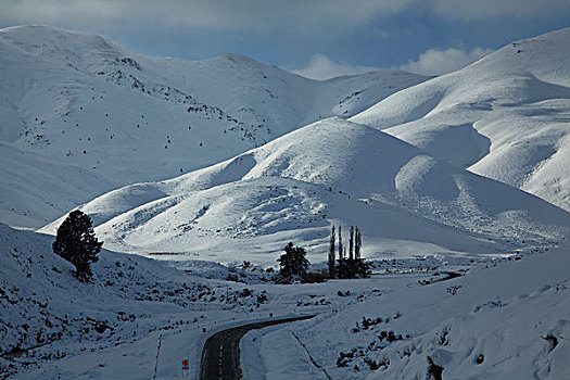 公路,冬天,奥塔哥,南岛,新西兰