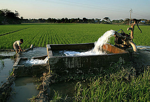 现代科技,灌溉,新,孟加拉,农民,使用,泵,水,地球,供给,地点,巨大,电,脸,麻烦,机械