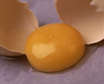 蛋黄,两个,蛋壳