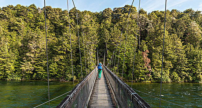 女性,远足,穿过,吊桥,河,峡湾国家公园,南部地区,南岛,新西兰,大洋洲