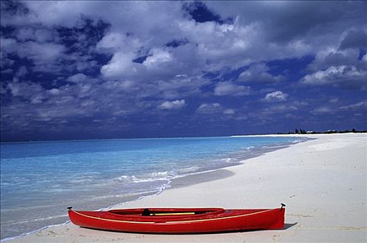 海滩,松树,钥匙,特克斯和凯科斯群岛,巴哈马,加勒比海