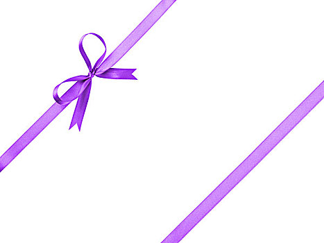紫色,丝带,蝴蝶结,作曲,隔绝,白色背景