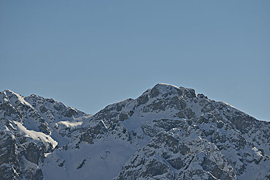 自然,冬季风景,树,初雪