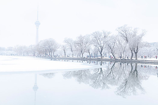 玉渊潭冬雪