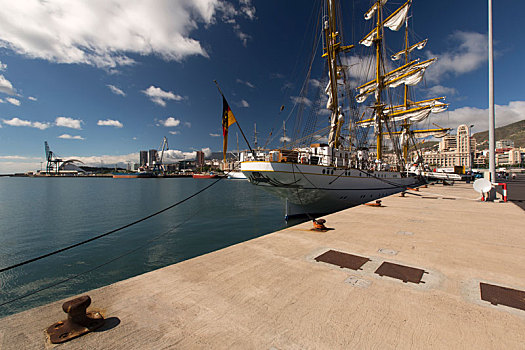帆,训练,船,港口,圣徒,特内里费岛,加纳利群岛,西班牙