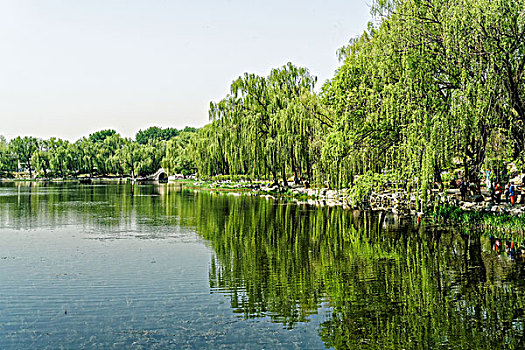 北京圆明园遗址公园风光