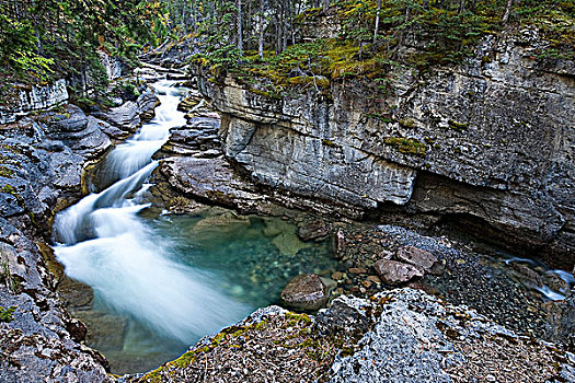 河,弯曲,上方,石头,小,峡谷,碧玉国家公园,艾伯塔省,加拿大