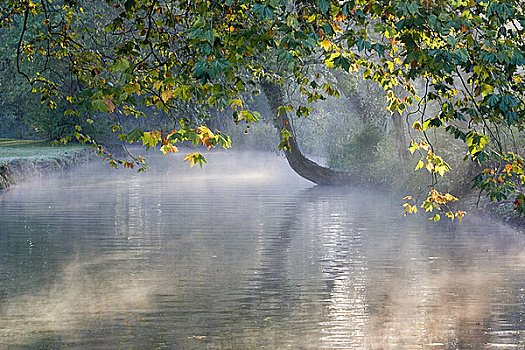 英格兰,牛津,秋色,雾气,河