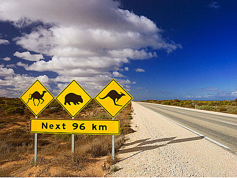 路标,平原,西澳大利亚,澳大利亚