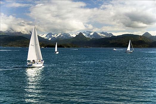 帆船,卡契马克湾,科奈山地,州立公园,背景,阿拉斯加,夏天
