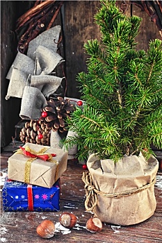 圣诞树,容器