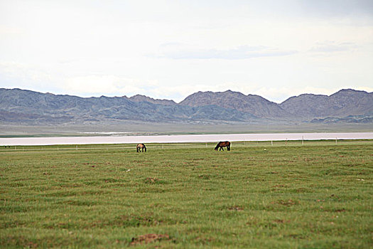 新疆巴里坤鸣沙山湿地