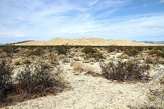 荒漠景观,莫哈维沙漠