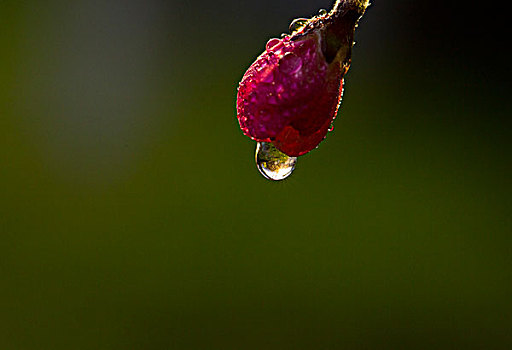 水点