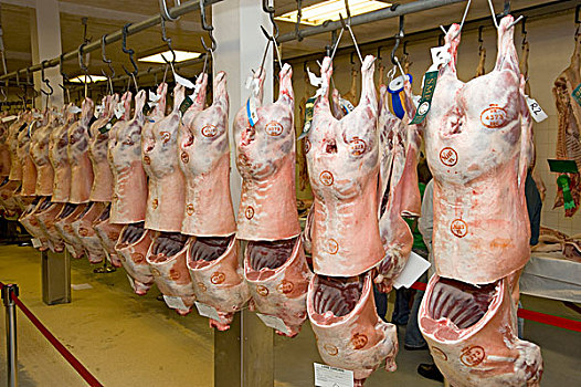 肉,拍卖,羊羔,尸体,英国,冬天,斯坦福德郡,英格兰,欧洲