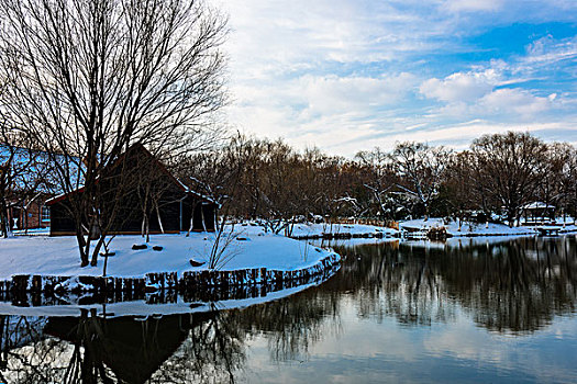 雪景