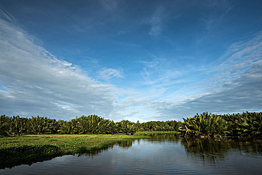 河,风景,苏门答腊岛