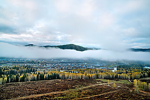 新疆,禾木,早晨,村落,木屋,雾