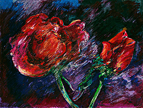 红玫瑰,激情,水彩,油,淡色调