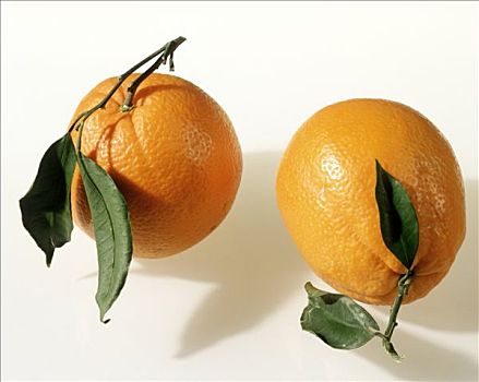 两个,柑橘,叶子